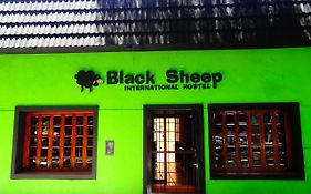 Black Sheep International Hostel